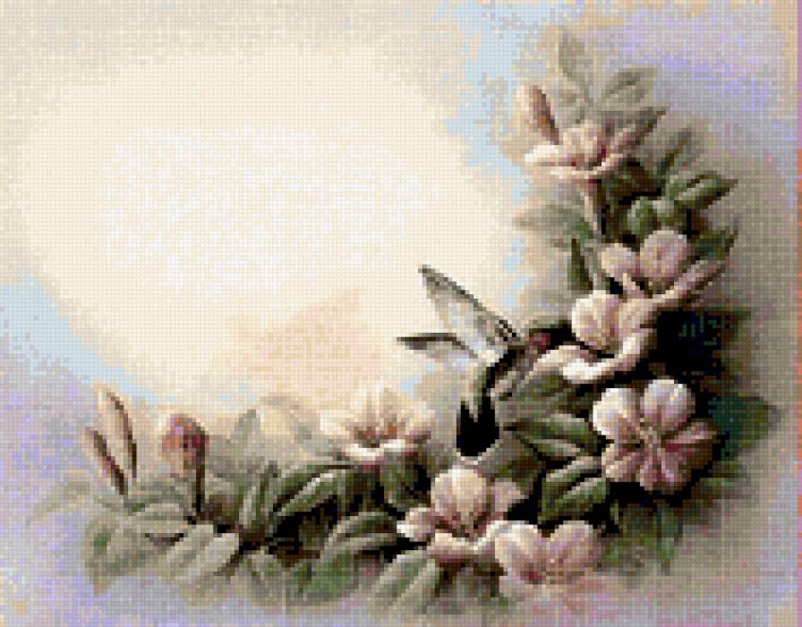 Калибри 2 - калибри, пернатые, цветы - предпросмотр