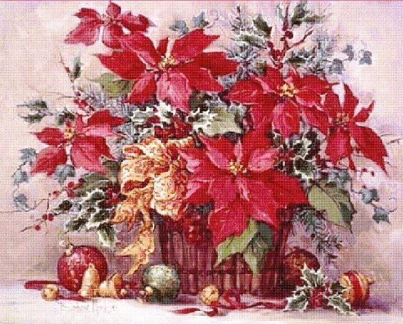 Пуансетия - цветы - оригинал