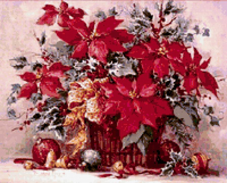 Пуансетия - цветы - предпросмотр