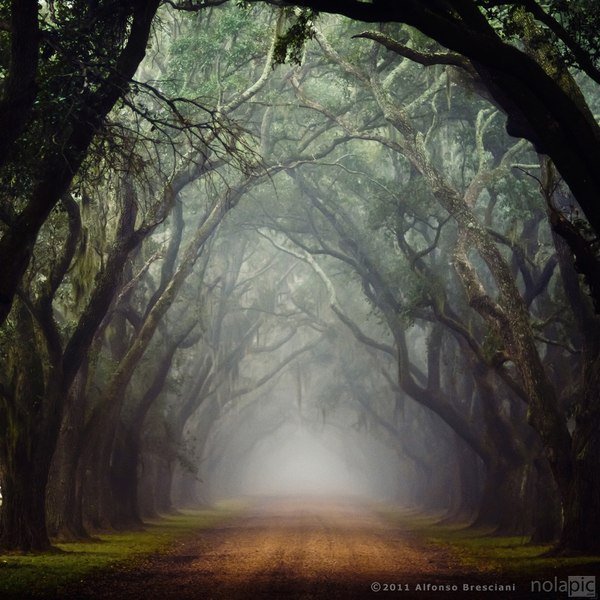 080 - природа - оригинал