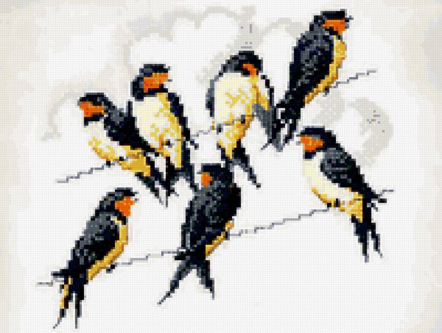 ласточки - птицы - предпросмотр