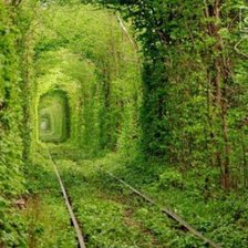 Оригинал схемы вышивки «тунель» (№306738)