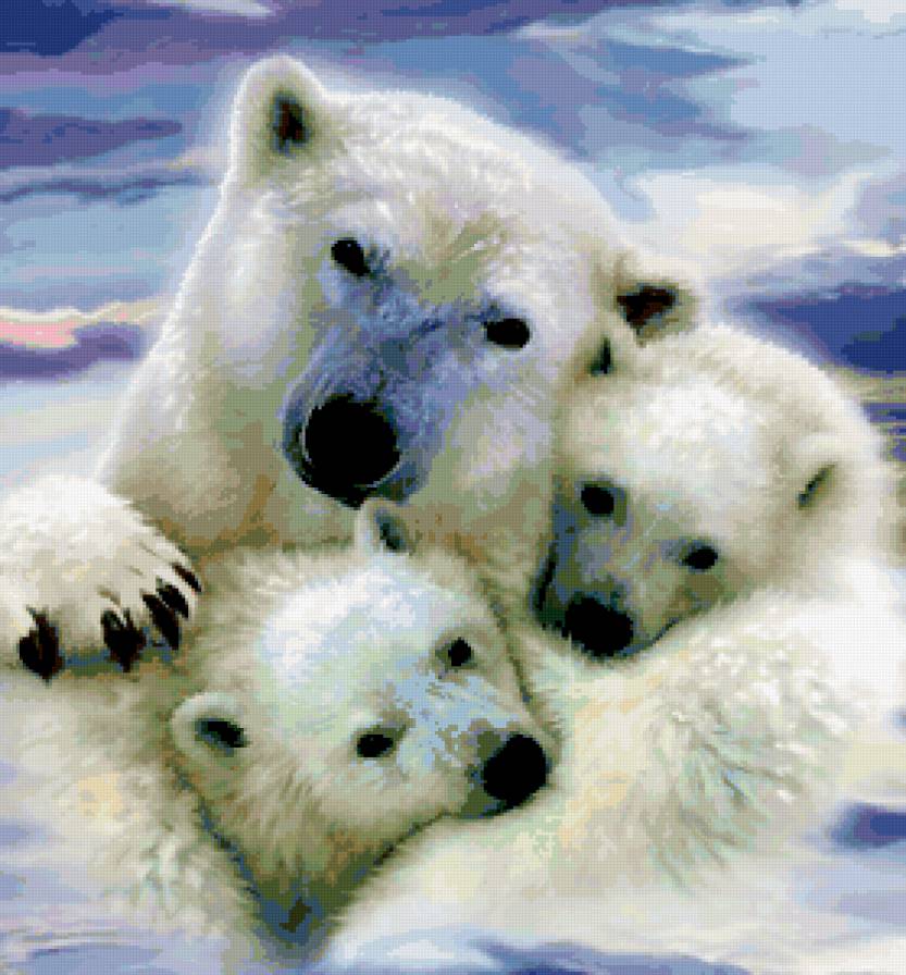 №306820 - предпросмотр