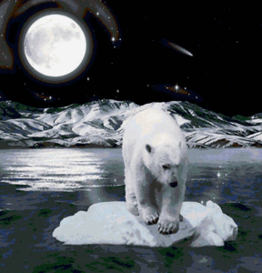 мишка - луна, север, медведь, животные, зима, ночь, лед, полюс - предпросмотр