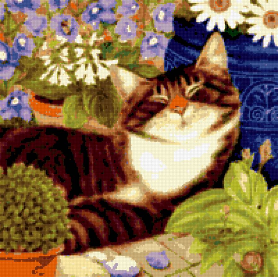 Сладкие сны - предпросмотр