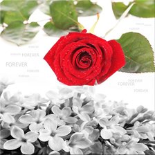 Схема вышивки «триптих    3»