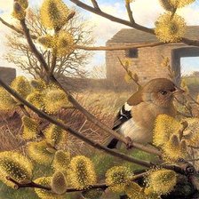 Схема вышивки «№307020»