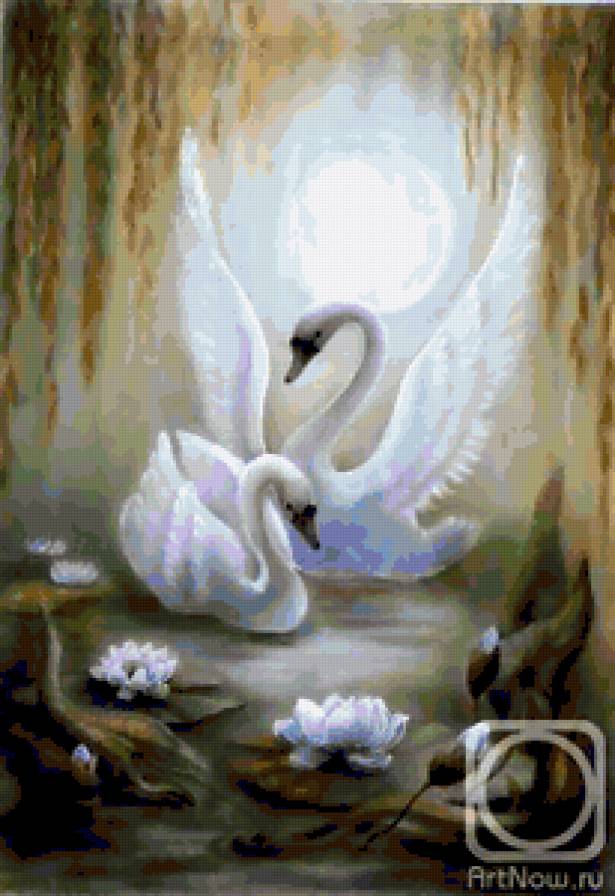 112322 - предпросмотр