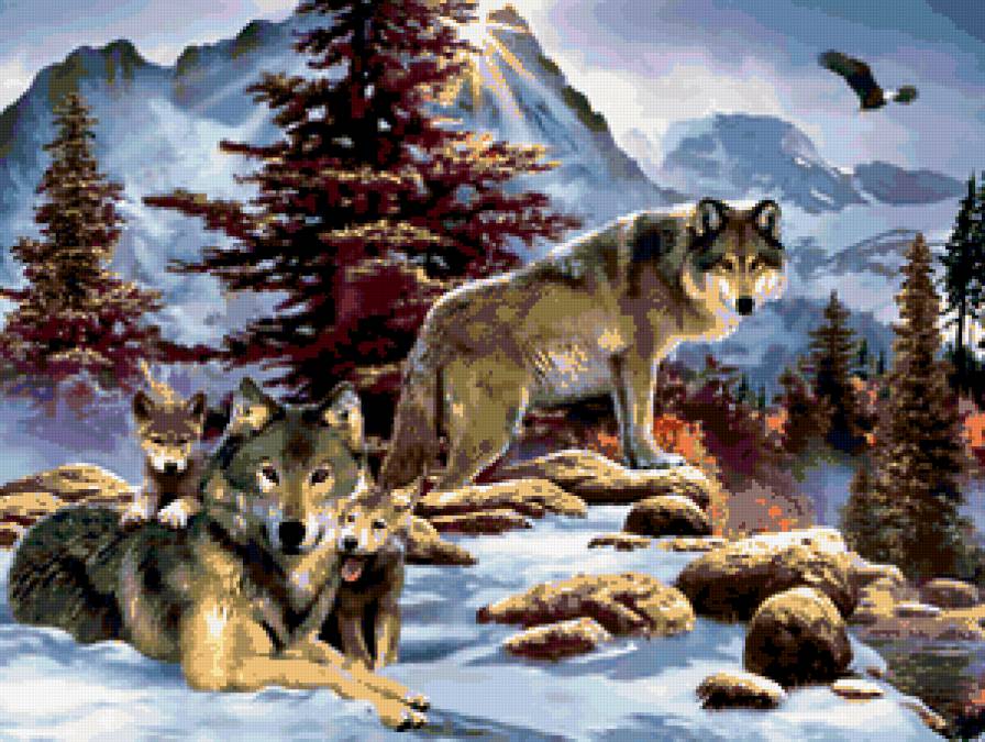 семья волков - животные - предпросмотр