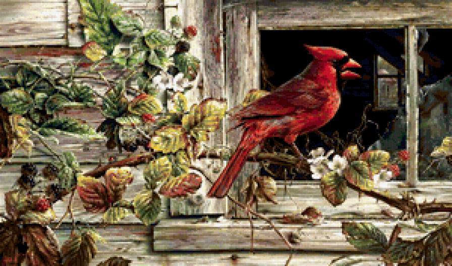 №307376 - предпросмотр