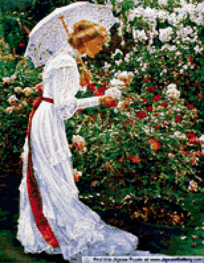 Леди - розы, девушка - предпросмотр