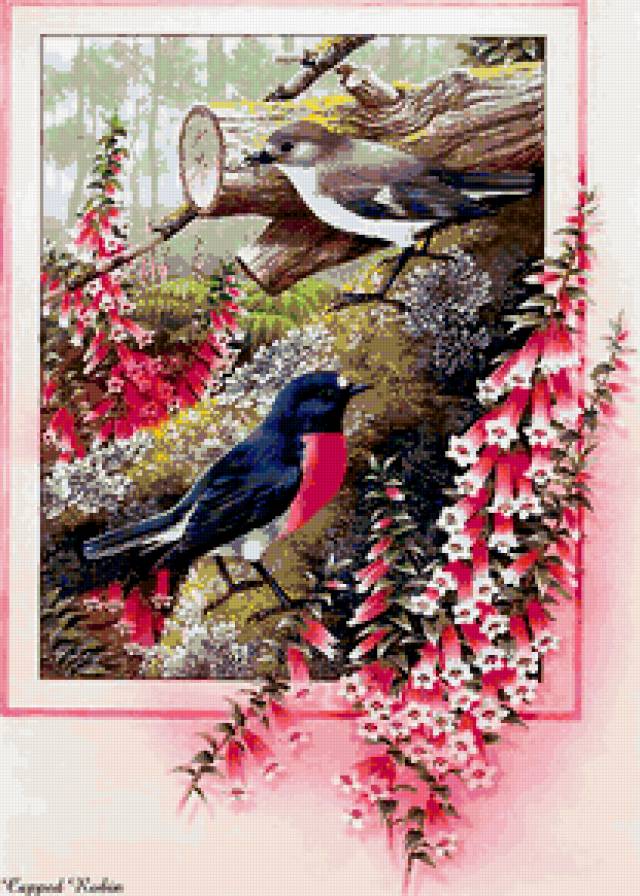 птички-невелички - птицы - предпросмотр