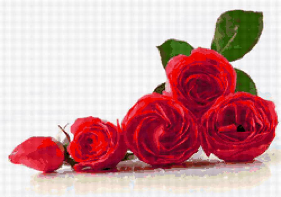 цвети - предпросмотр