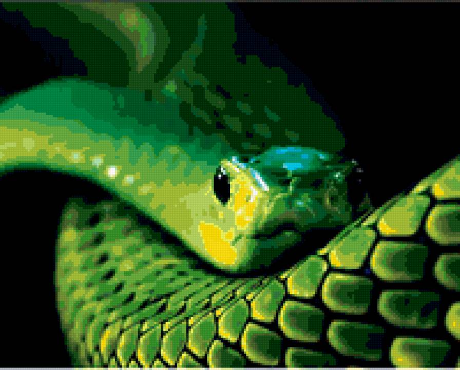 змея - змея - предпросмотр