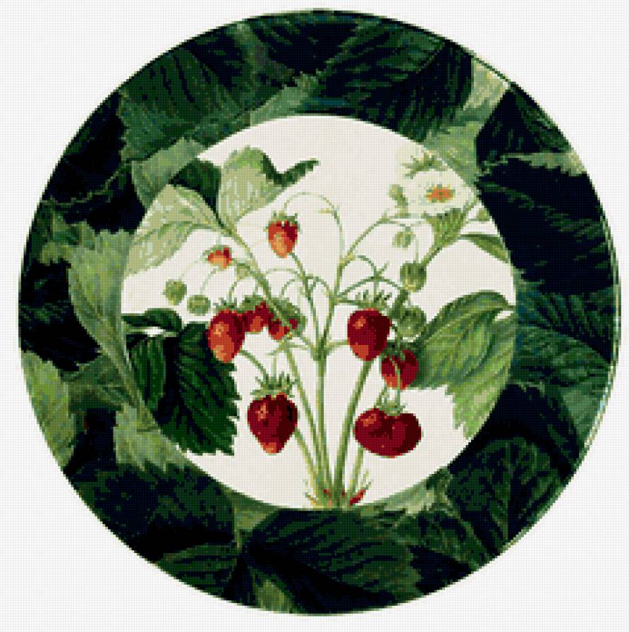 №307629 - предпросмотр