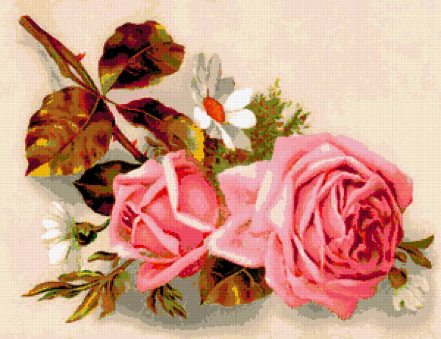 цвети - предпросмотр