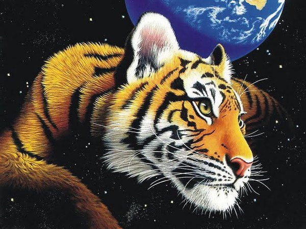 Тигр - тигр - оригинал