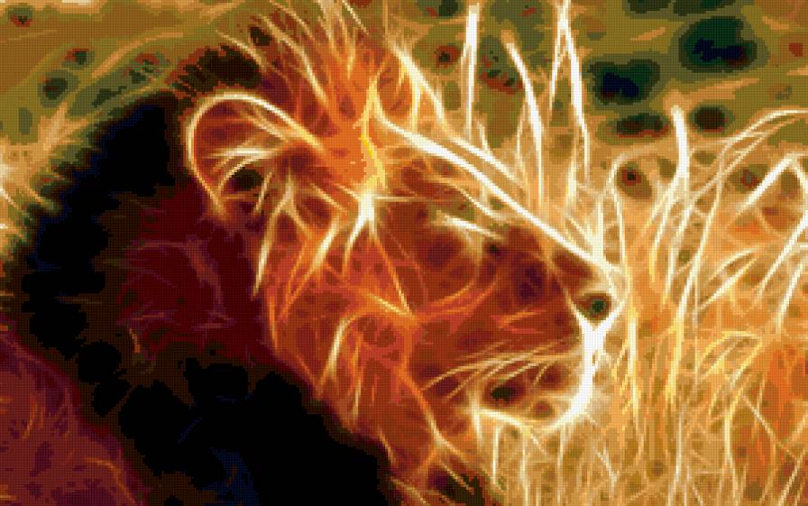 "Дикие кошки" - животные - предпросмотр