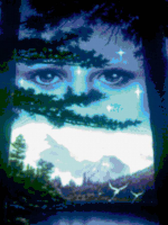 взгляд - взгляд, лес, ночь - предпросмотр