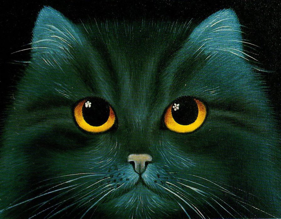 взгляд - кошки - оригинал