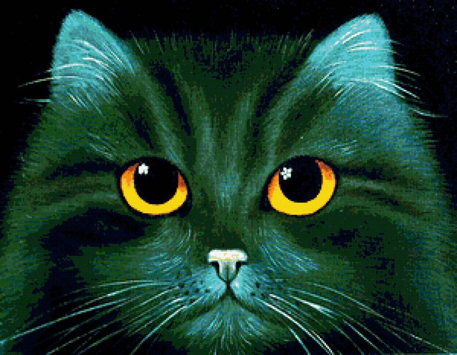 взгляд - кошки - предпросмотр