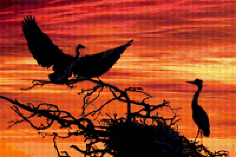 птицы - птицы - предпросмотр