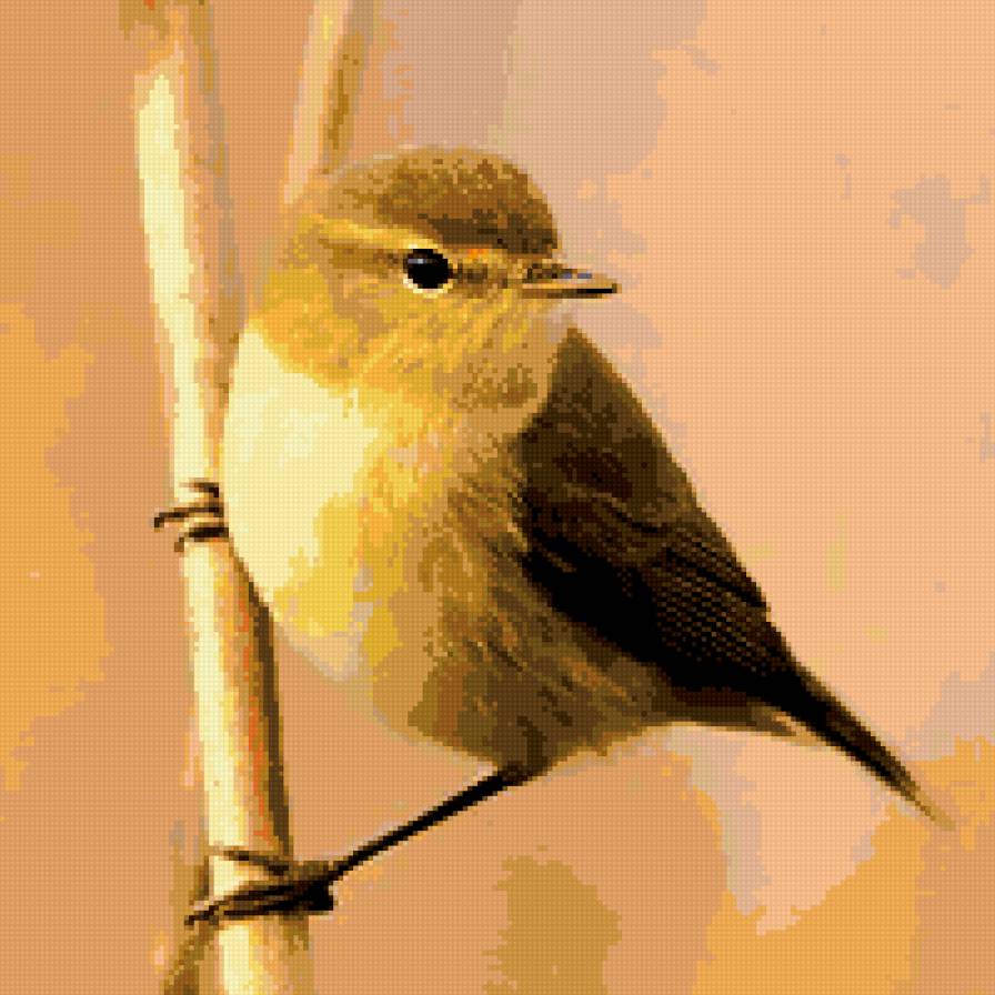 подушка. - птица, подушка - предпросмотр