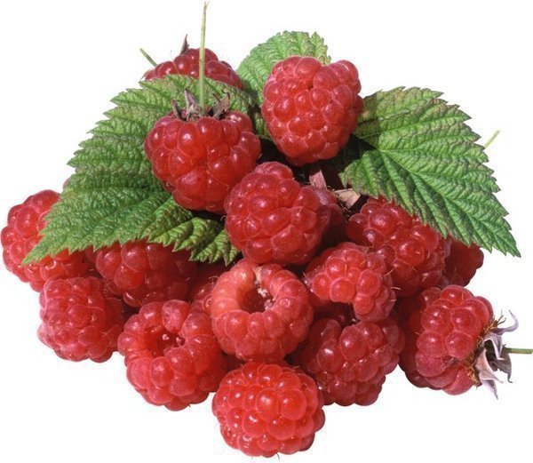 фрукты... - кухонная тематика, овощи, фрукты - оригинал