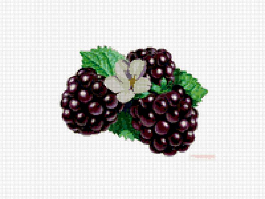 фрукты... - фрукты, овощи, кухонная тематика - предпросмотр