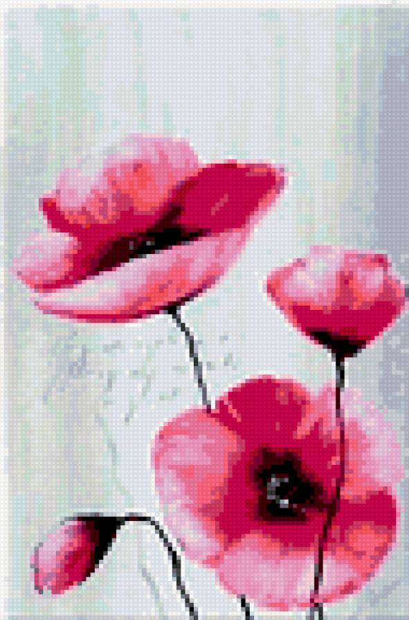 тюльпан + мак + кала часть 2 - полипт, цветы, мак, розовые, тюльпан, с надписями, триптих, кала - предпросмотр
