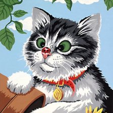 любопытный котенок