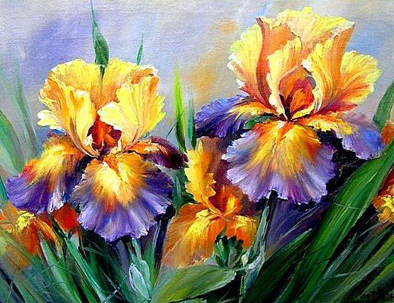 ирисы - оригинал