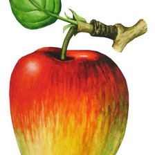 Схема вышивки «№308841»