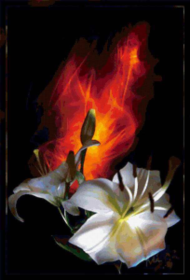 лилии - предпросмотр