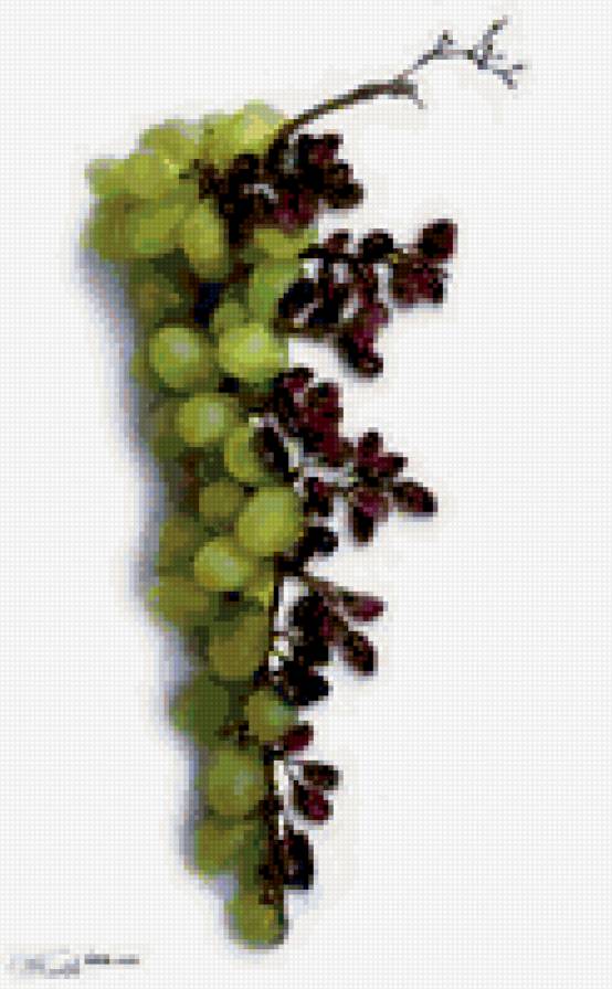 №308990 - предпросмотр