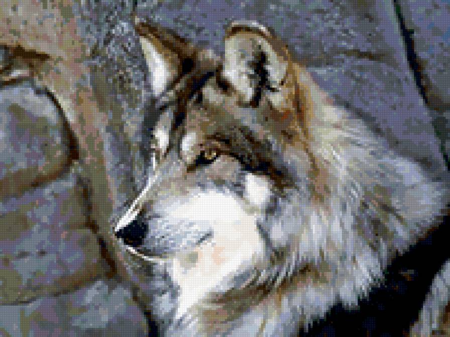 №308994 - животные - предпросмотр