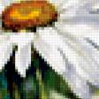 Предпросмотр схемы вышивки «ромашки» (№309124)