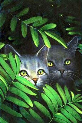 кошки - одесса - оригинал