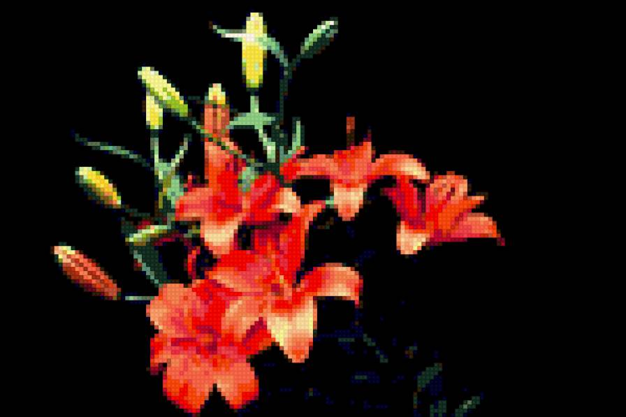 красные лилии - предпросмотр