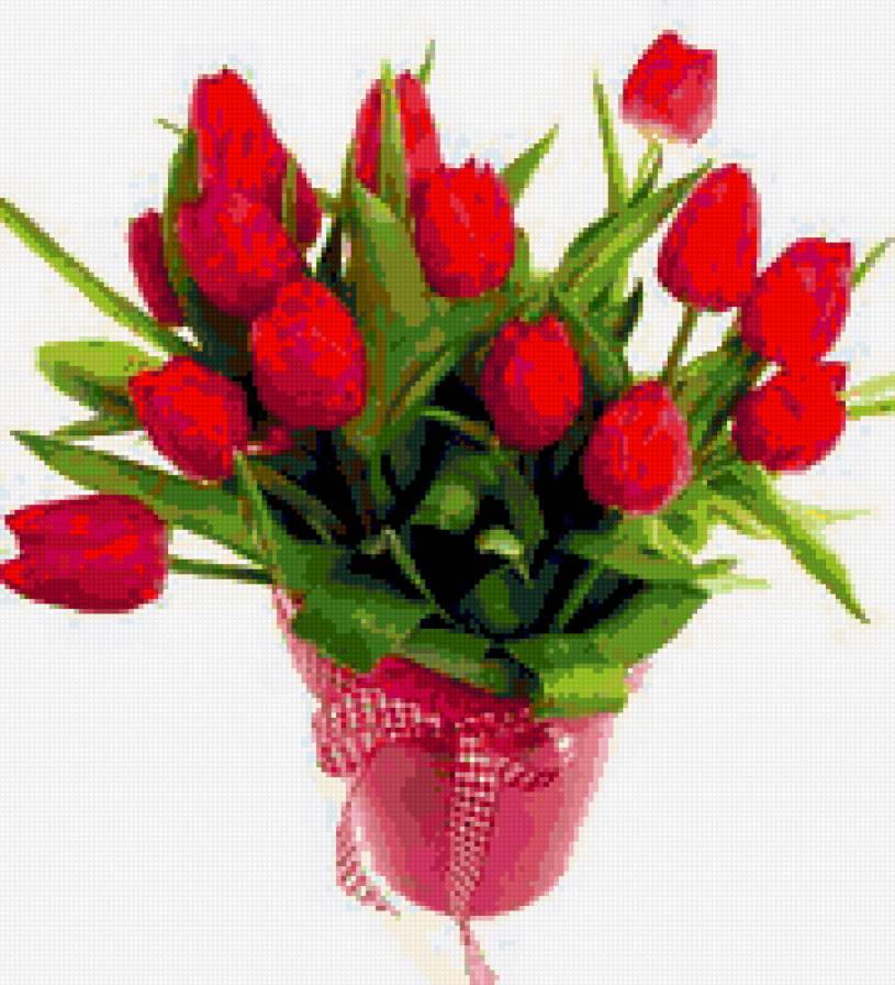 red tulips - flowers - предпросмотр