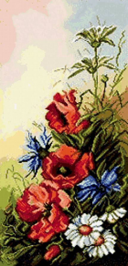 Маки - предпросмотр