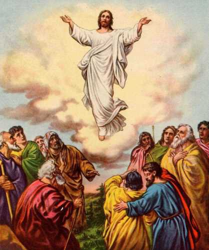 №309334 - eastern - оригинал