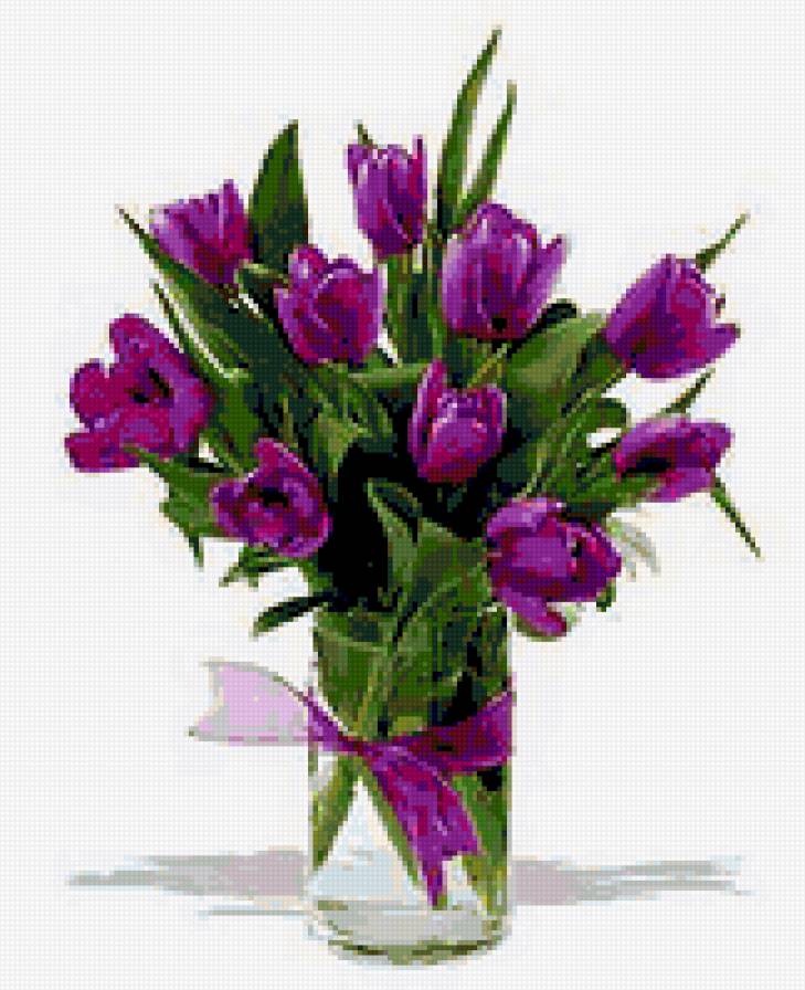 violet tulips - flowers - предпросмотр