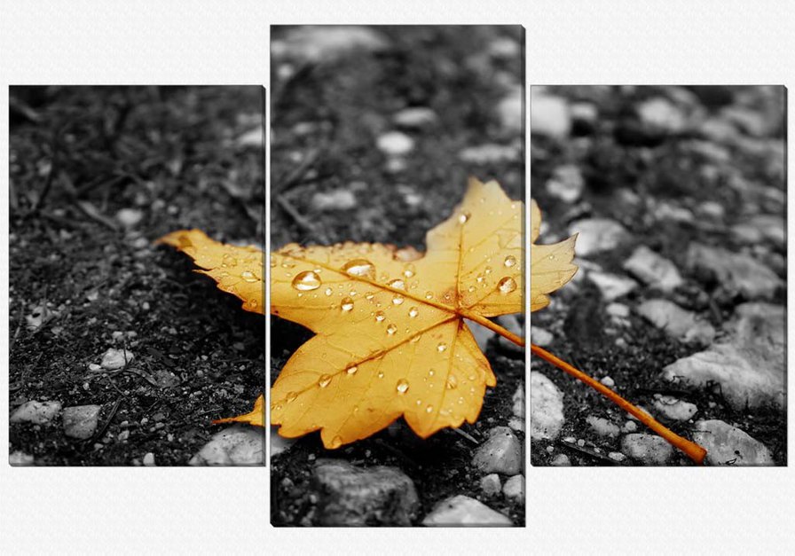 №309374 - triptic - оригинал