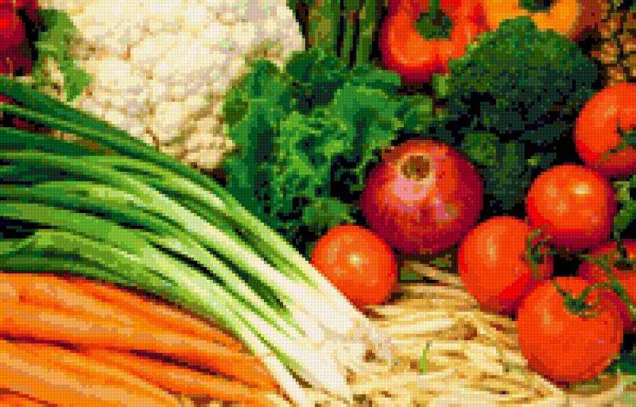 №309391 - vegetables - предпросмотр