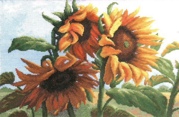 Подсолнухи - оригинал