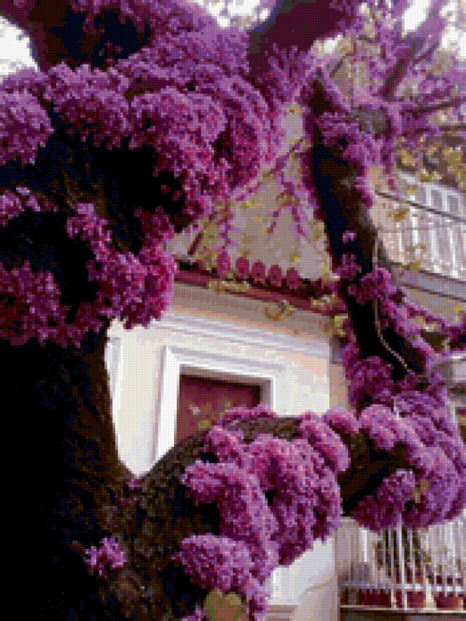 Весна в Японии - япония, весна - предпросмотр