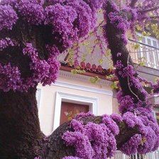 Схема вышивки «Весна в Японии»