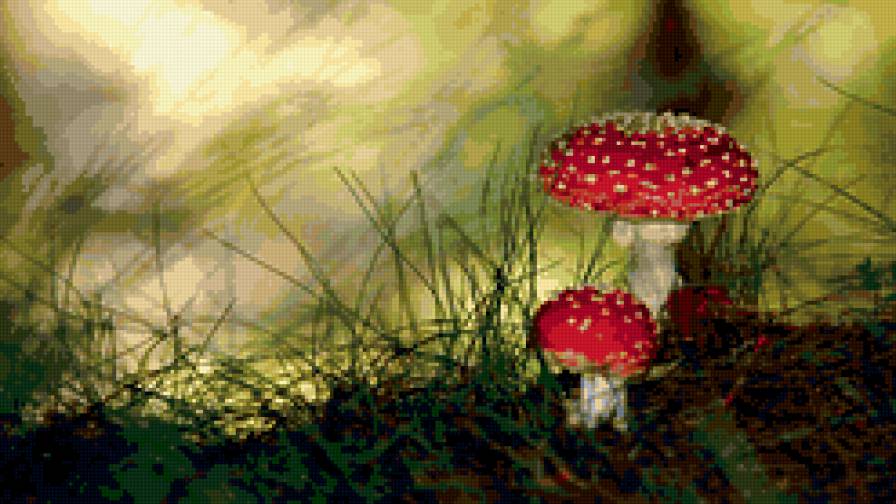Мухоморчики - грибы - предпросмотр