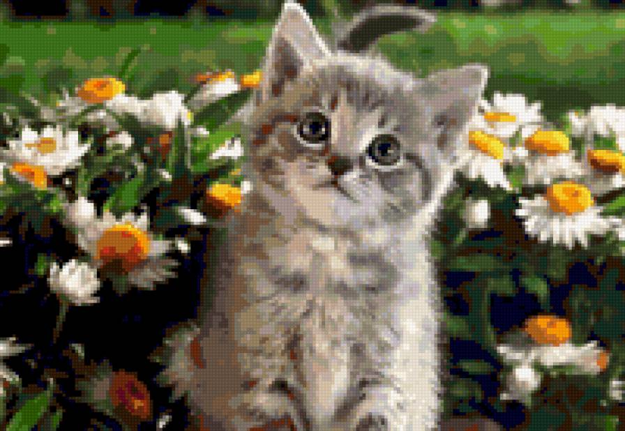 Котенок в ромашках - котята - предпросмотр